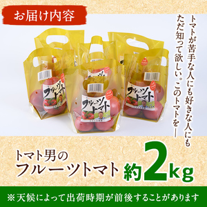 ＜先行予約受付開始！2026年3月下旬から順次発送予定＞フルーツトマト(2kg)トマト 野菜 期間限定 数量限定【110000201】【ひろしま農園】