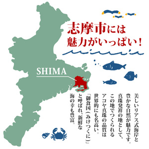 【期間限定】志摩市産天然アワビ（赤） 1kg 冷蔵 新鮮
