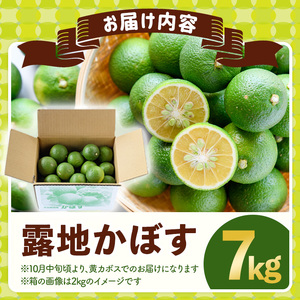 ＜先行予約受付中！2026年8月上旬以降順次発送予定＞露地カボス(約7kg)かぼす カボス 柑橘 特産品 大分県産【107100603】【あいはな農園】
