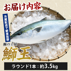 【10月以降順次発送】テレビで紹介ぶりの王様「 鰤王 」 まるごと 1本 ラウンド 先行予約 産地直送 長島町 特産品 ブランド 鰤 冷蔵 ふるさと納税 ぶり 刺身 ぶりしゃぶ ぶり大根 海鮮丼【JFA】jfa-7115