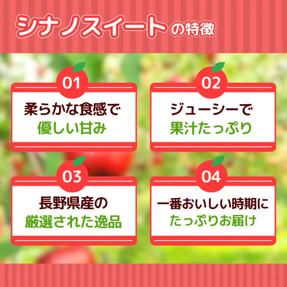 【10月中旬発送 先行予約】樹上熟成　シナノスイート 3kg | りんご シナノスイート りんご