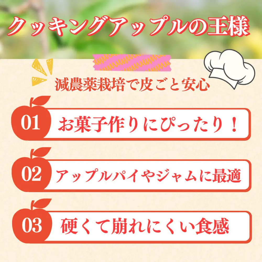 【10月下旬発送 先行予約】樹上熟成　グラニースミス 3kg | りんご グラニースミス 青りんご 加工用