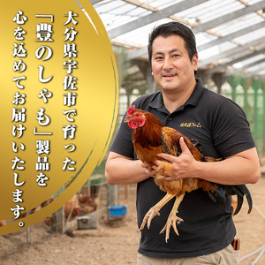 大分地鶏豊のしゃも地鶏出汁スパイスカレー3種セット(合計540g・180g×3パック)レトルト 簡単調理 ご当地カレー【112400202】【天峯ファーム】