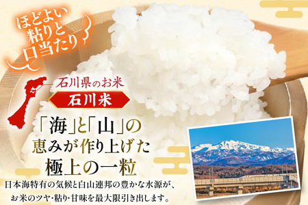 米 定期便 石川米 こしひかり 5kg × 6回 [38601131] 米