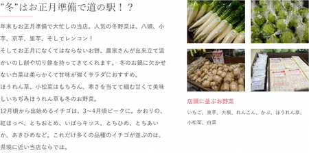 道の駅まくらがの里古河　季節の新鮮野菜おまかせAセット ※北海道・沖縄・離島への配送不可 _BQ03