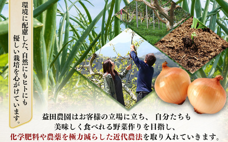 【なら育ち 益田農園】玉ねぎ約 5kg サイズ混合｜ヤサイ 野菜 ベジタブル 玉ねぎ オニオン 奈良県 五條市