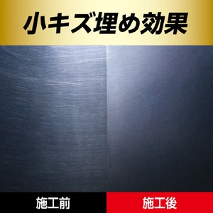 ジオセラミック ボディーコート 100 晴香堂 HARUKADO