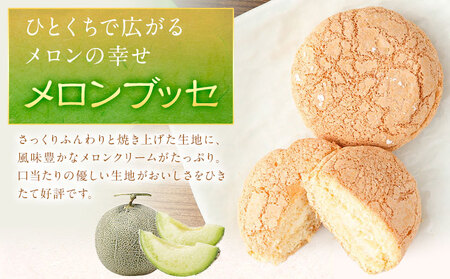 菊池銘菓 ふくさ栗 ・ ブッセ シリーズ 詰め合わせ セット 12個入 1箱 4種類 × 各3個 有限会社中原松月堂 《30日以内に出荷予定(土日祝除く)》熊本県 菊池市 ブッセ 抹茶 メロン ぽんぽん デコポン 栗 ふくさ栗 スイーツ デザート 焼き菓子 和菓子 洋菓子