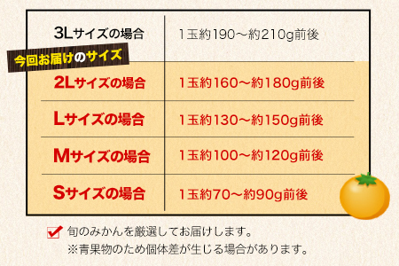 みかん 温州みかん 約 10kg 熊本県 荒尾市産含む 《11月上旬-12月上旬頃出荷》送料無料 熊本県 荒尾市 フレッシュフーズ 柑橘 フルーツ ミカン 蜜柑 果物 美味しいみかん 旬のみかん ジューシーみかん フルーツみかん