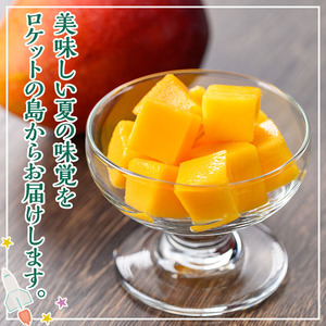 n257 ＜先行予約＞ マンゴー 1kg・2～3個入 鹿児島県 種子島産 完熟 果物 フルーツ 箱入り 冷蔵 【種子屋久農業協同組合】
