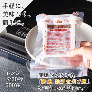 熟成3日 発芽玄米 パックごはん 30個(3pac×10セット) コシヒカリで作った酵素玄米 | パックごはん 新潟県 弥彦村