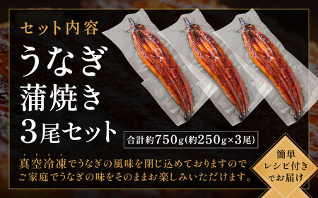 AF098.うなぎ蒲焼き3尾セット（約250g×3尾）