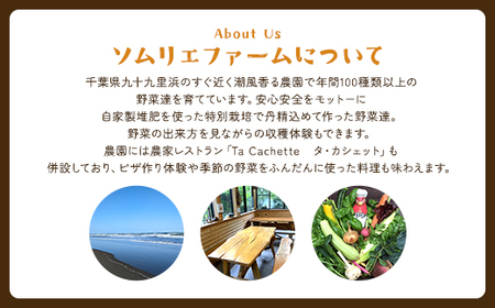 ピザ作り体験、野菜収穫体験にも利用可！ 農園レストラン「Ta cachette」お食事券3,000円分 ／ 体験 チケット 野菜 収獲 ピザ 利用券 千葉県 山武市 SMBP001