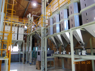 会津若松市産 ミルキークイーン 5kg×2袋セット｜令和7年産 2025年産 お米 米 こめ コメ 精米 白米 会津産 [1024]