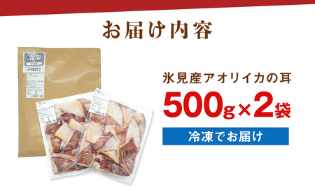 【訳あり】 氷見産 アオリイカの耳（エンペラ） 1kg 〈冷凍〉　イカ
