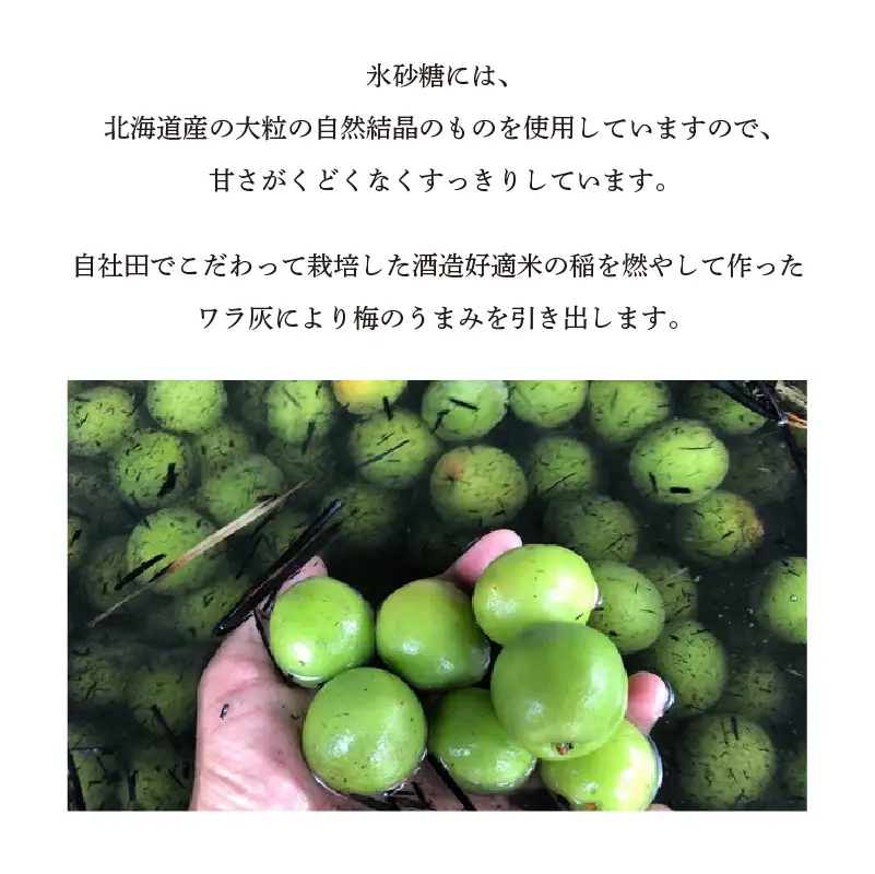 【お中元 内熨斗対応可能】知多の梅酒 『純米大吟醸仕込みの梅酒 白老梅(500ml)』