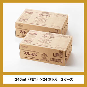 サンA フルッぴーフルーツオレ(PET) 240ml×48本 【 川南町 フルーツ 日向夏 キウイ ドリンク 】