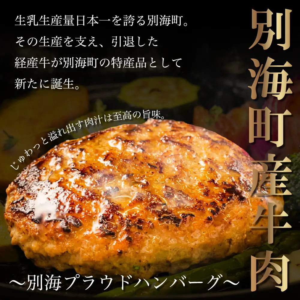 別海プラウド　ハンバーグ2種 1.2kg(150g×各4個) ビーフハンバーグ　ビーフ＆ポーク【KH0000006】訳あり訳あり訳あり訳あり訳あり訳あり訳あり