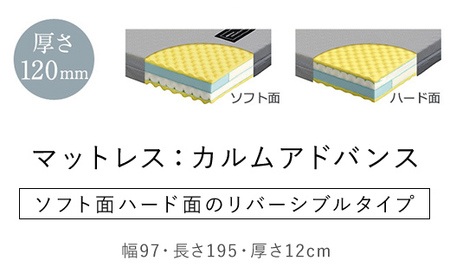 【パラマウントベッド】電動ベッド インタイム1000 シングル 1＋1M RQA115SB マットレス：カルムアドバンス付 電動ベッド78＋マットレス9/ベッド 家具 寝具 健やか 爽やか 睡眠 千葉県 山武市 SMAL002