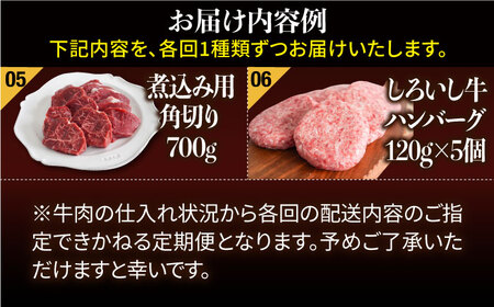 【6回定期便】しろいし牛1頭まるごと 食卓定期便 / 牛肉 [IAH222]