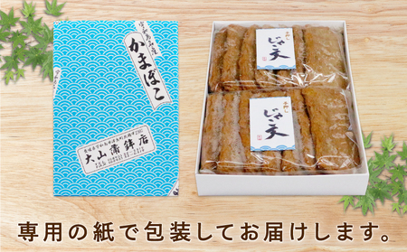練り物 手押しじゃこ天 14枚 大山かまぼこ店 練り物 C010-007003