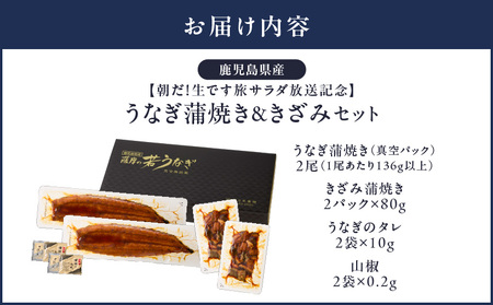【 土用の丑の日特集 】 2470 【朝だ！生です旅サラダ放送記念】鹿児島県産 うなぎ蒲焼き 2尾 きざみ2パックセット KN058-003 魚 冷凍 鰻