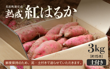 【先行予約】大谷原の熟成さつまいも（3kg 土付き) 約15本【入手困難・数量限定】【2026年10月下旬以降順次発送予定】【サツマイモ 芋 紅はるか】 [m23-a002]