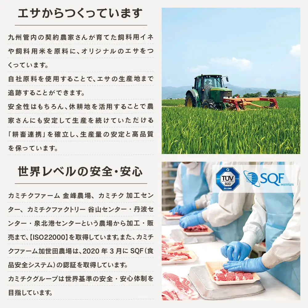 【鹿児島県産】A5等級黒毛和牛 カルビ焼肉 計600g（200g×3P） 国産牛 牛肉 国産 焼き肉 カミチク BBQ バーベキュー アウトドア バラ 丼 プレート 小分けパック 冷凍