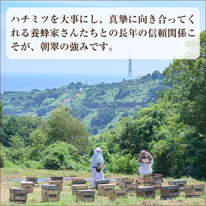 小田原産50ｇ2本セット（百花蜜とみかんの花の蜂蜜）〈箱根ジオパークラベル〉【はちみつ ハチミツ 蜂蜜 家庭用 自宅用 贈答品 贈答用 ギフト お取り寄せ 御中元 お中元 お歳暮 父の日 母の日 贈り物 みかん蜂蜜 百花蜜 季節の蜂蜜 神奈川県 小田原市 】