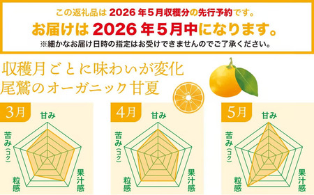 【先行予約 ５月出荷】 採りたて 甘夏 10Kg（農薬化学肥料不使用）  尾鷲市  甘夏屋 平山農園　HI-11
