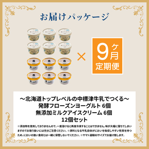 北海道 プレミアムミルクアイスクリーム×6個とフローズンヨーグルト×6個セット計12個　９ｶ月定期便【1115301】