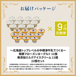 北海道 プレミアムミルクアイスクリーム×11個とフローズンヨーグルト×11個セット計２２個　９ｶ月定期便【1115701】