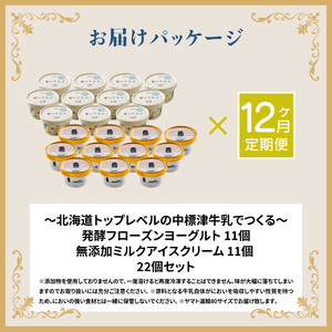 北海道 プレミアムミルクアイスクリーム×11個とフローズンヨーグルト×11個セット計２２個　12ｶ月定期便【1115801】