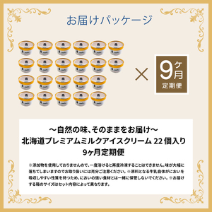 【定期便：全9回】北海道 プレミアムミルクアイスクリーム×22個【1116101】