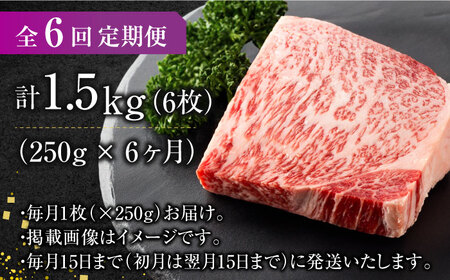 【6回定期便】 サーロインステーキ250g×1枚 [AFBO003]