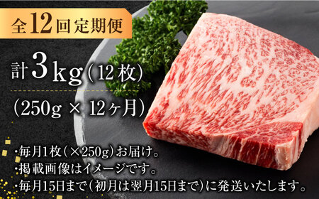 【12回定期便】サーロインステーキ250g×1枚 [AFBO004]