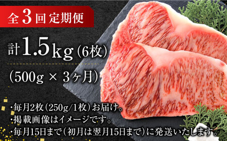 【3回定期便】サーロインステーキセット 500g（250g×2枚）  [AFBO006]