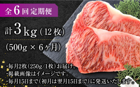 【6回定期便】サーロインステーキセット 500g（250g×2枚）  [AFBO007]