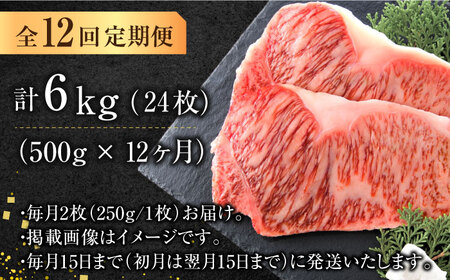 【12回定期便】サーロインステーキセット 500g（250g×2枚） [AFBO008]