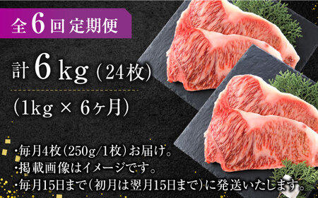 【6回定期便】サーロイン 1kg（250g×4枚） [AFBO011]