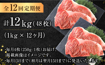 【12回定期便】サーロイン 1kg（250g×4枚）  [AFBO012]