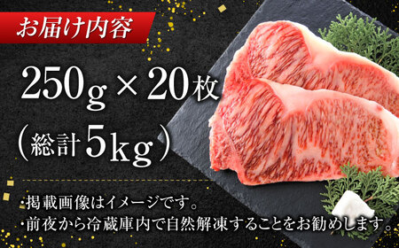 【訳あり】サーロイン ステーキ セット 5kg（250g×20枚） [AFBO013]