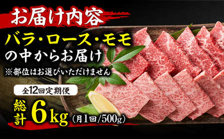 【12回定期便】焼肉用 500g  / 焼き肉 和牛[AFBO072]