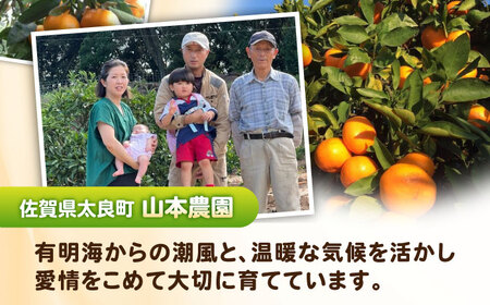 山本農園のジュース おまかせ3本セット みかんジュース / 佐賀県 / 山本農園 [41ATBT017]