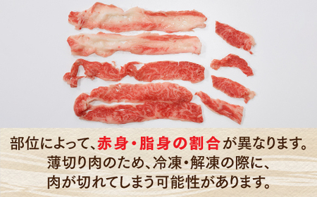 A1482.博多和牛しゃぶしゃぶ（約500グラム）