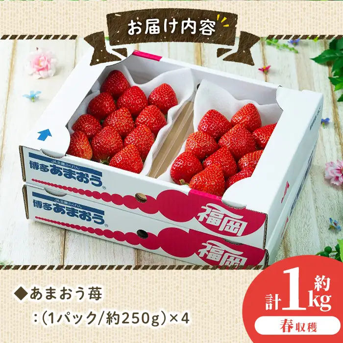 ＜先行予約受付中！2027年2月上旬～2027年3月末に順次発送＞あまおう苺・春(4P)いちご 苺 フルーツ 果物 くだもの 福岡限定  家庭用 冷蔵 ＜離島配送不可＞【ksg0045】【南国フルーツ】