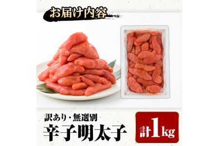＜訳あり・無選別＞辛子明太子(計1kg) 明太子 めんたいこ 冷凍 海鮮 博多名物 家庭用＜離島配送不可＞【ksg0089】【城戸酒店】