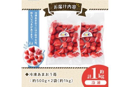 ＜先行予約受付中！2026年4月より順次発送＞冷凍あまおう苺(約500g×2袋・計1kg)いちご イチゴ 冷凍 シャーベット 冷凍いちご ヨーグルト ジャム ＜離島配送不可＞【ksg0046】【南国フルーツ】