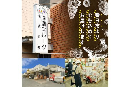 ＜先行予約受付中！2027年2月上旬～2027年3月末に順次発送予定＞あまおう苺・春(6P)いちご 苺 フルーツ 果物 くだもの 福岡限定 家庭用 冷蔵 ＜離島配送不可＞【ksg0101】【南国フルーツ】