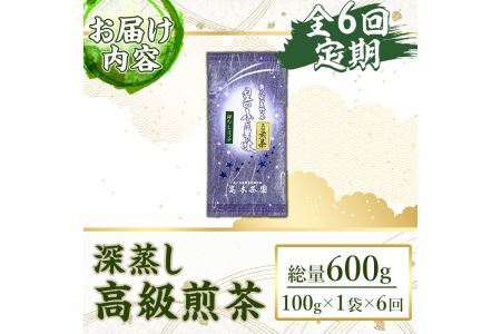 ＜定期便・全6回(連続)＞奥八女星野村 深蒸し高級煎茶(総量600g・100g×1袋×6回) 八女茶 緑茶 せん茶 おちゃ お茶 やめ 深蒸し茶  常温 常温保存【ksg1346】【おどろきっちん】